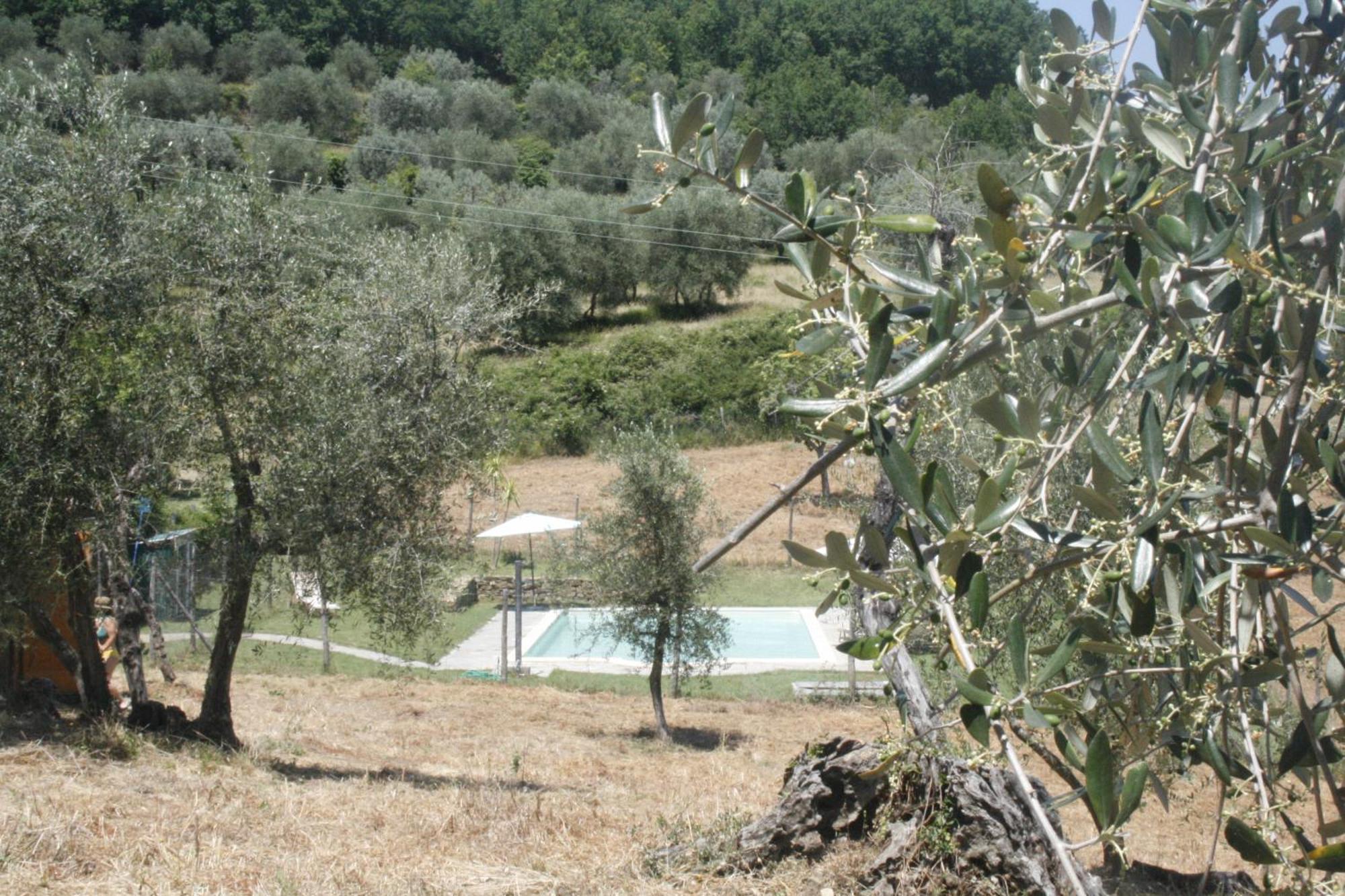 Spacious Room "Ragusana" For 2 Guests & Child Donnini Exterior photo